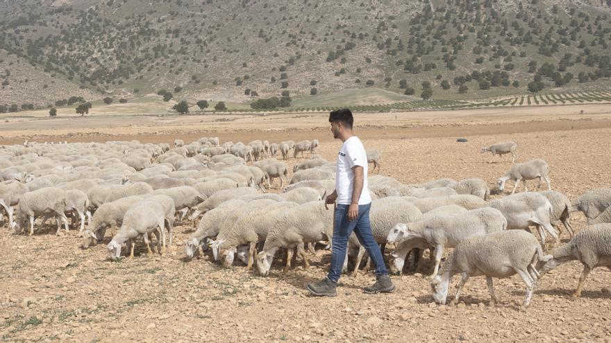 Cinco millones para agricultores y ganaderos de zonas de montaña y con limitaciones naturales