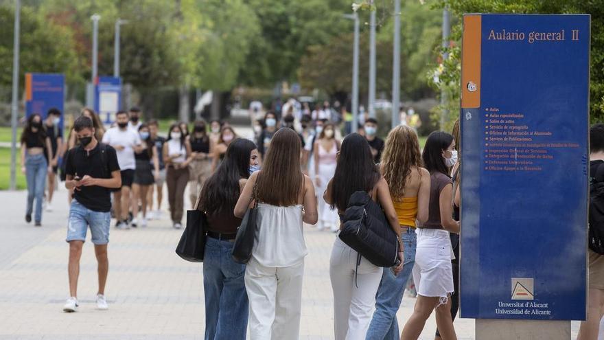 Los ocho tipos de becas universitarias para el próximo curso en la Comunidad Valenciana