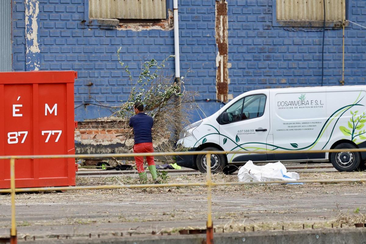 Pymar arranca los trabajos de limpieza en sus terrenos de Naval Gijón (en imágenes)