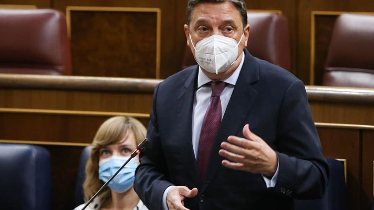 El ministro de Agricultura, Luis Planas, durante su intervención en la sesión de control del Congreso este miércoles.