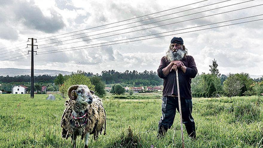 Cristina Andreu trifft Schäfer und Schaf in Galicien.