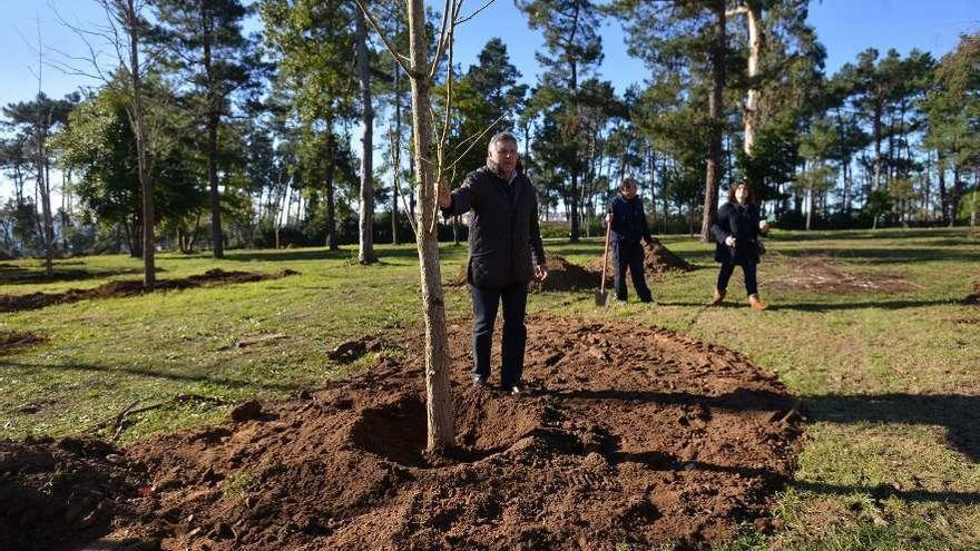 Telmo Martín, con el ginkgo biloba plantado en Pinta Vicaño. // Gustavo Santos