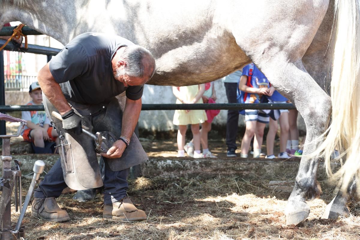 Fotogalería | Así se ha desarrollado la feria equina de Cáceres