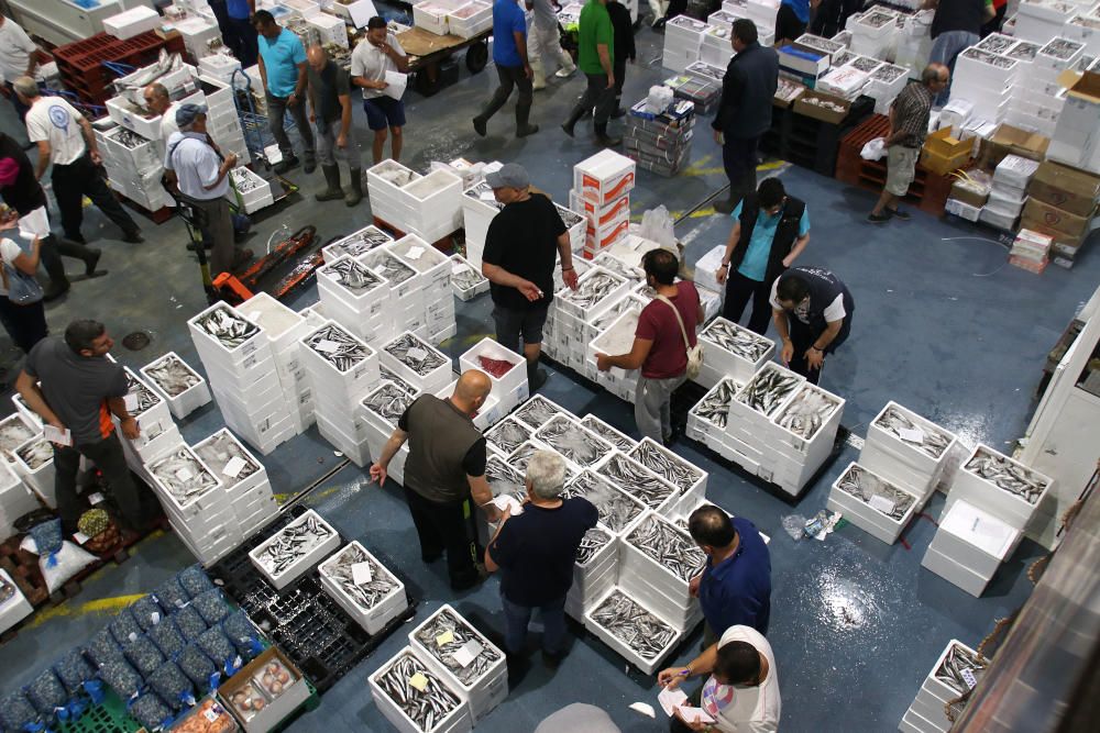 Así es un día de trabajo en la pescadería de Mercamálaga