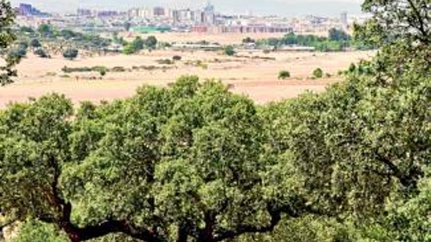 El ayuntamiento pide la declaración de parque periurbano para Tres Arroyos