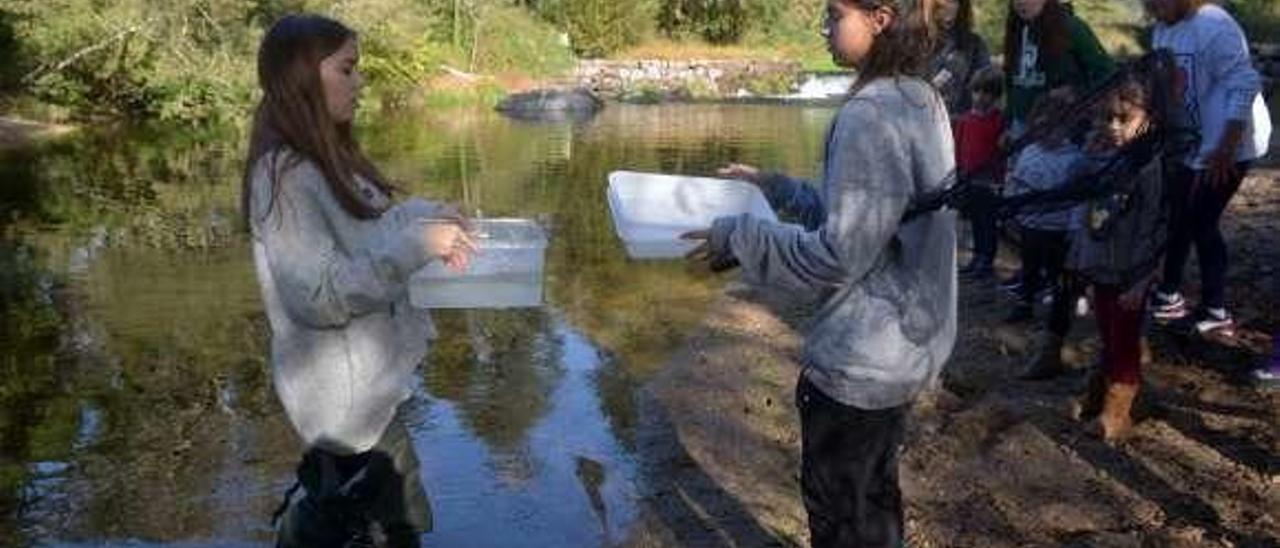 Una actividad ambiental en la playa de Paradela. // Noé Parga