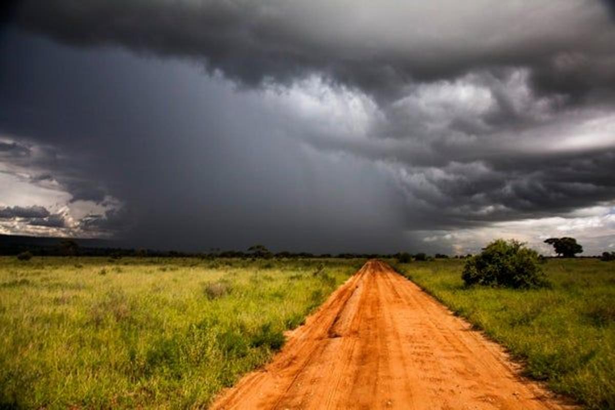 Serengeti (Tanzania)