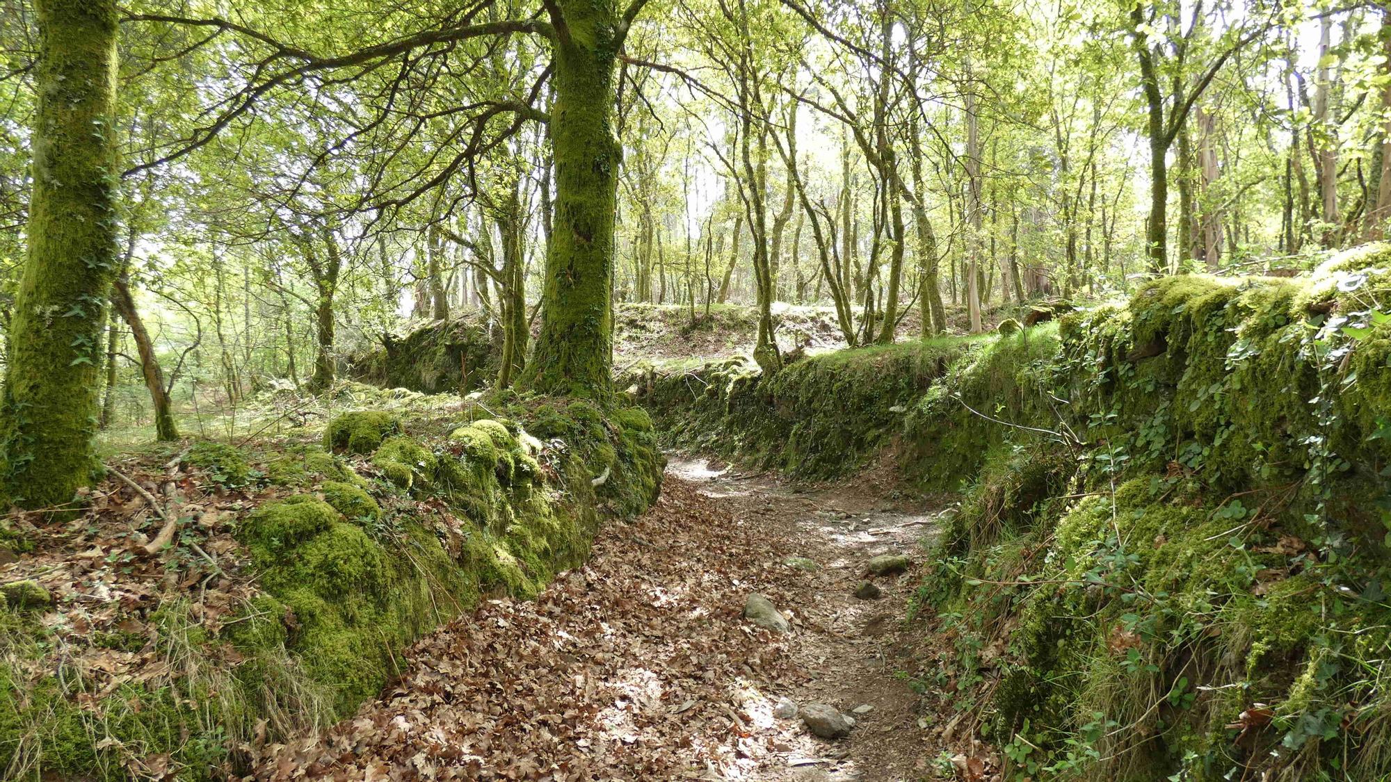 La cascada de Liñares: el "salto del ángel" de las tierras altas de Pontevedra