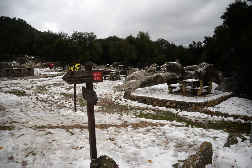 Los mallorquines salen a jugar con la nieve