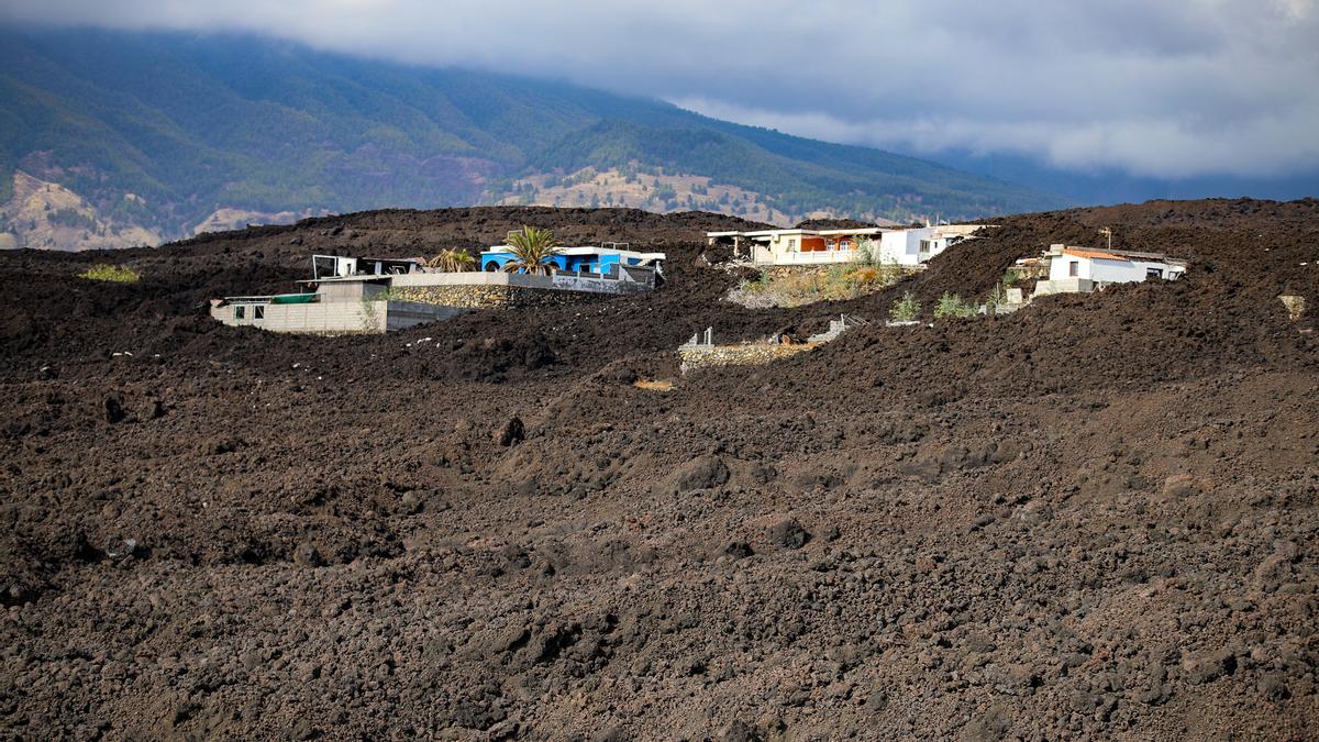 La reina abrirá el curso escolar en centros afectados por la lava en La Palma.
