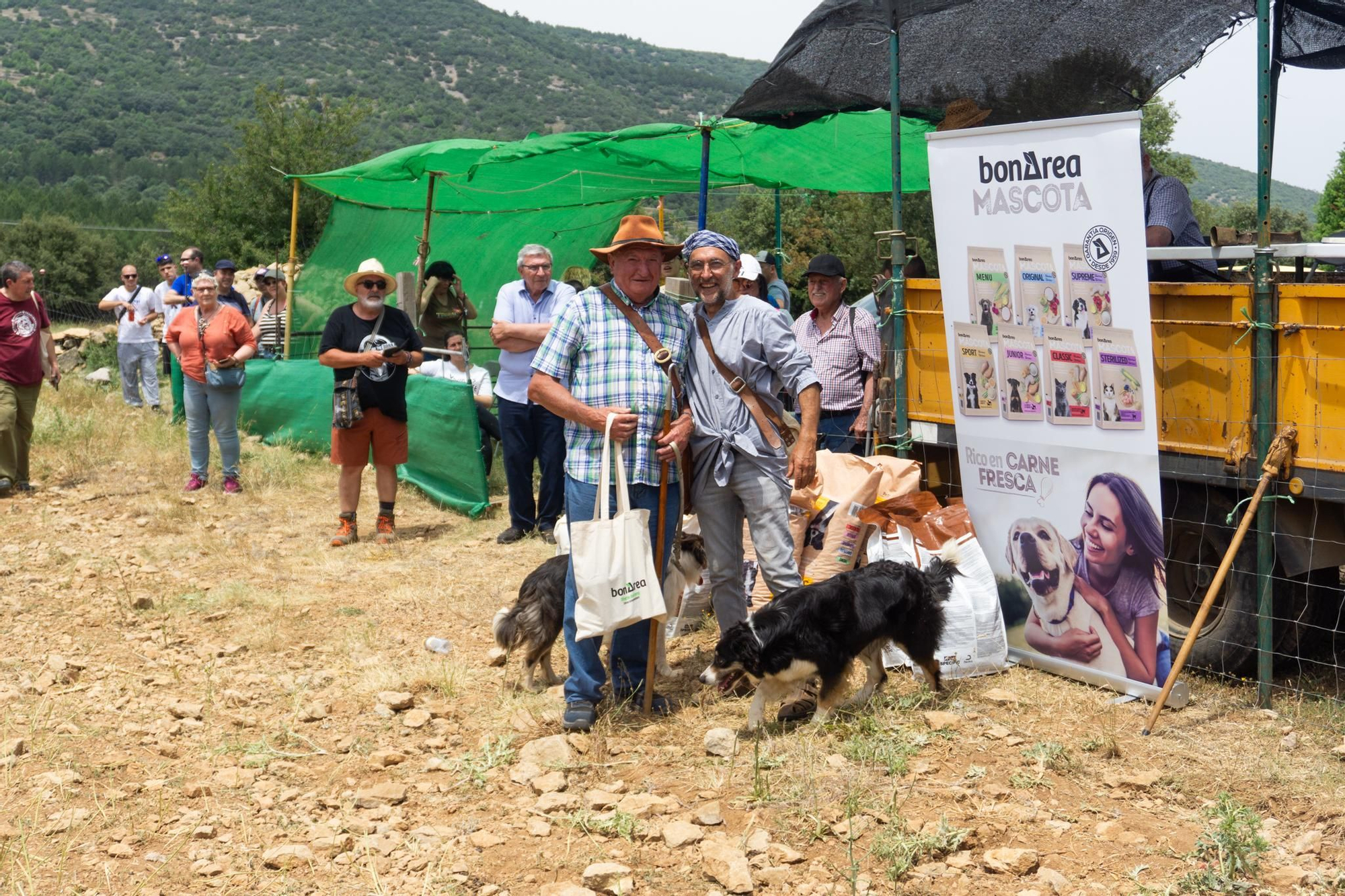 FOTOGALERÍA: Las imágenes del concurso de perros pastores de Ares del Maestrat
