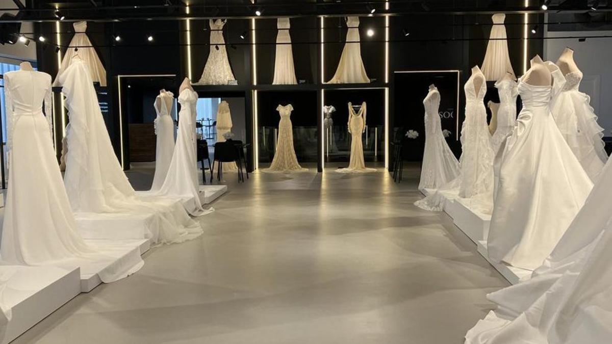 endüstriyel veya finansal ortak arasındaki ikilem