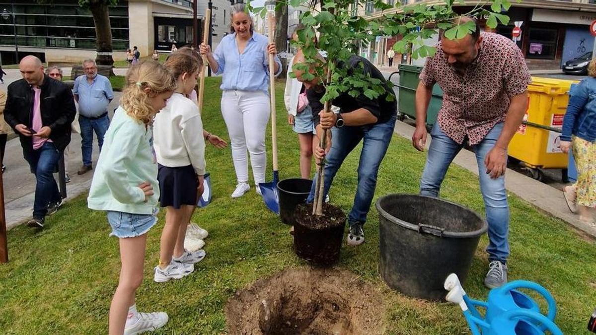 Escolares de Carballo plantando un exemplar de 'Xinkgo biloba' doado por L'Isle Jourdain.