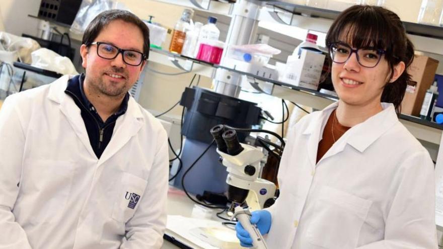 Os biólogos investigadores Antón Barreiro e Laura González Llera no seu laboratorio da USC  / Santi alvite