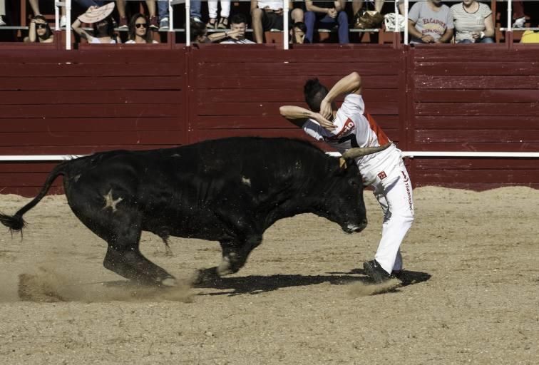 Concurso de cortes en la Plaza de Toros de Benaven