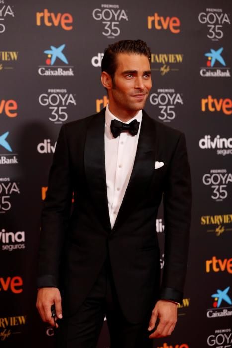 GALA DE LA 35 EDICIÓN DE LOS PREMIOS GOYA