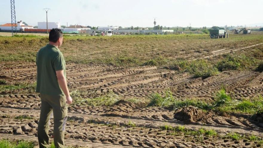 La guardería rural intensifica la vigilancia en el campo de Villanueva