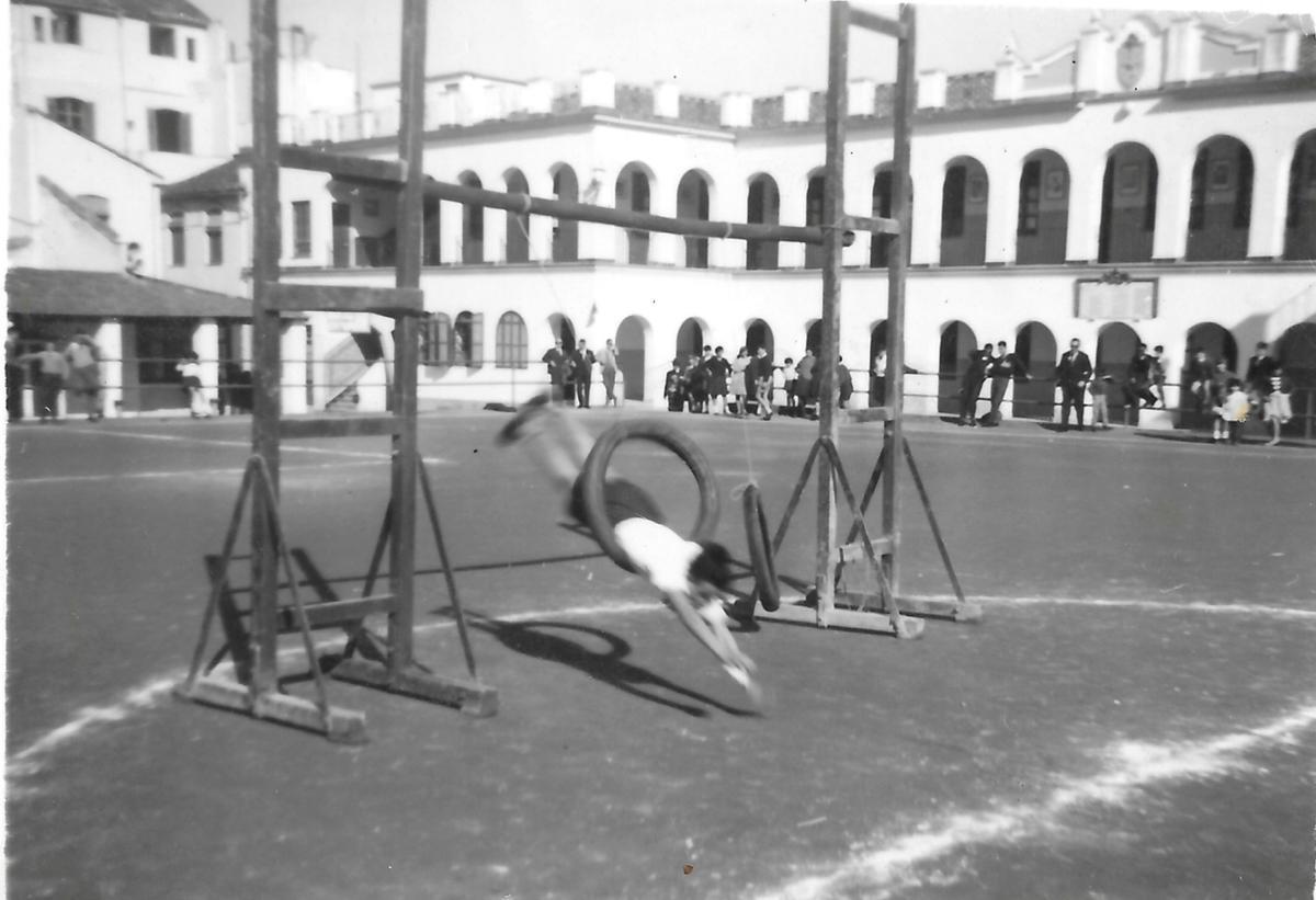Repaso histórico a los 100 años del Colegio Maristas en Málaga, la actualidad y la celebración del centenario.