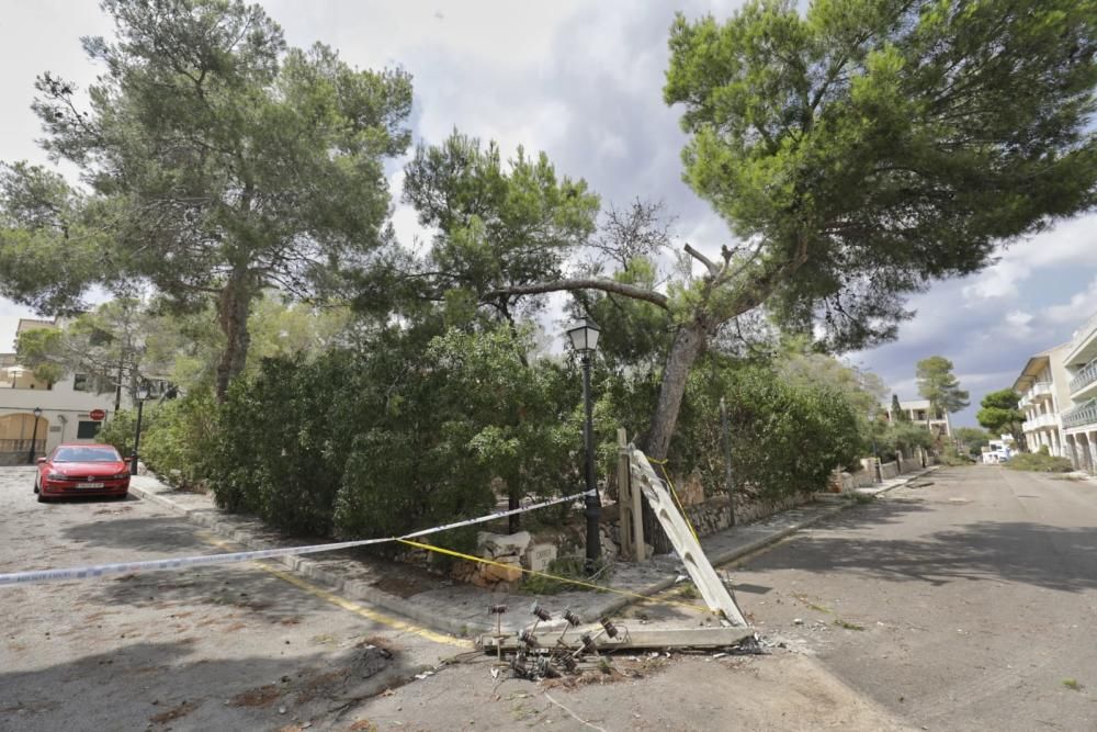 Trabajos en las zonas más afectadas por la tormenta en Baleares