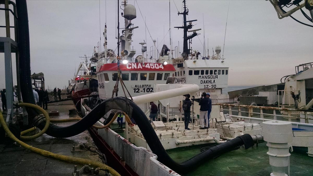 Barcos marroquíes amarrados en el puerto de Dakhla.
