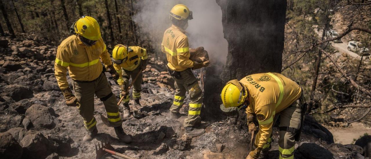 Trabajadores de la Brifor del Cabildo de Tenerife en plena faena durante el incendio ocurrido en el municipio de Arico en mayo de 2021.