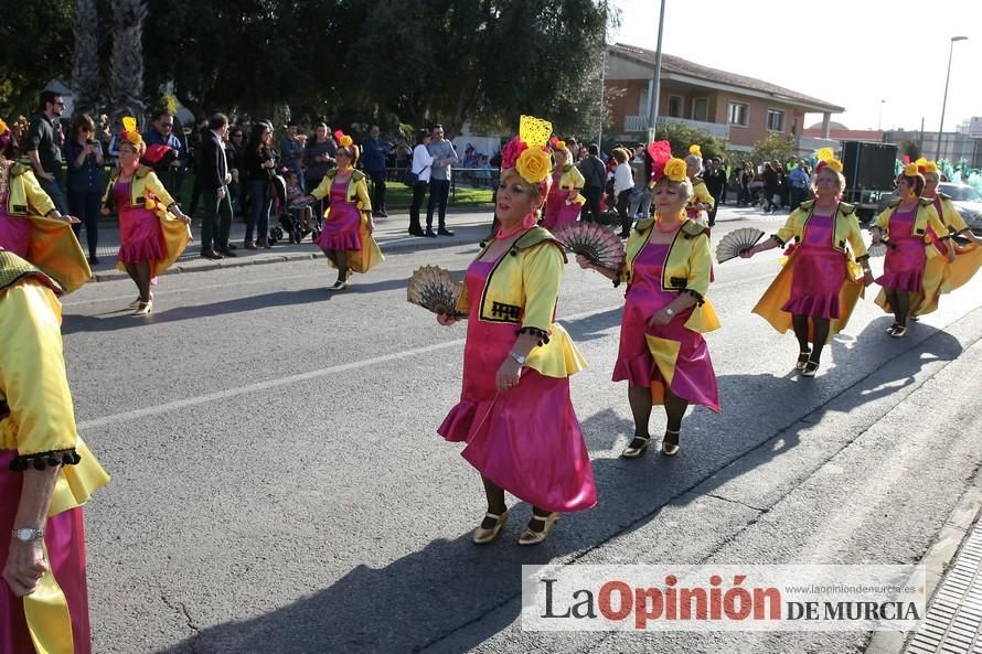 Desfile de Carnaval en Puente Tocinos (25-2-2017)