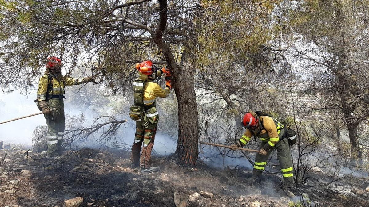 El operativo trabaja en el incendio forestal de Jumilla.