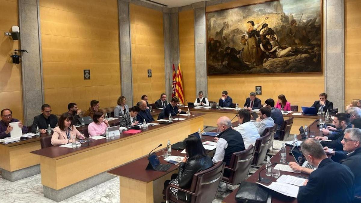 Ple de la Diputació de Girona