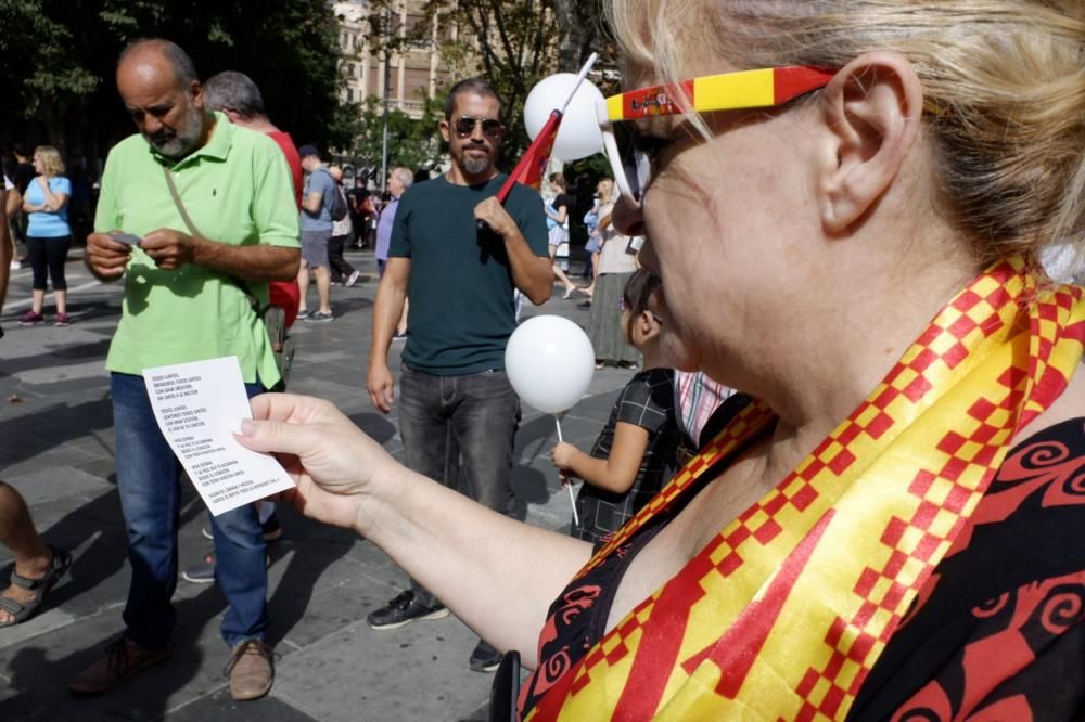 Unas 800 personas se manifiestan en Palma por la unidad de España