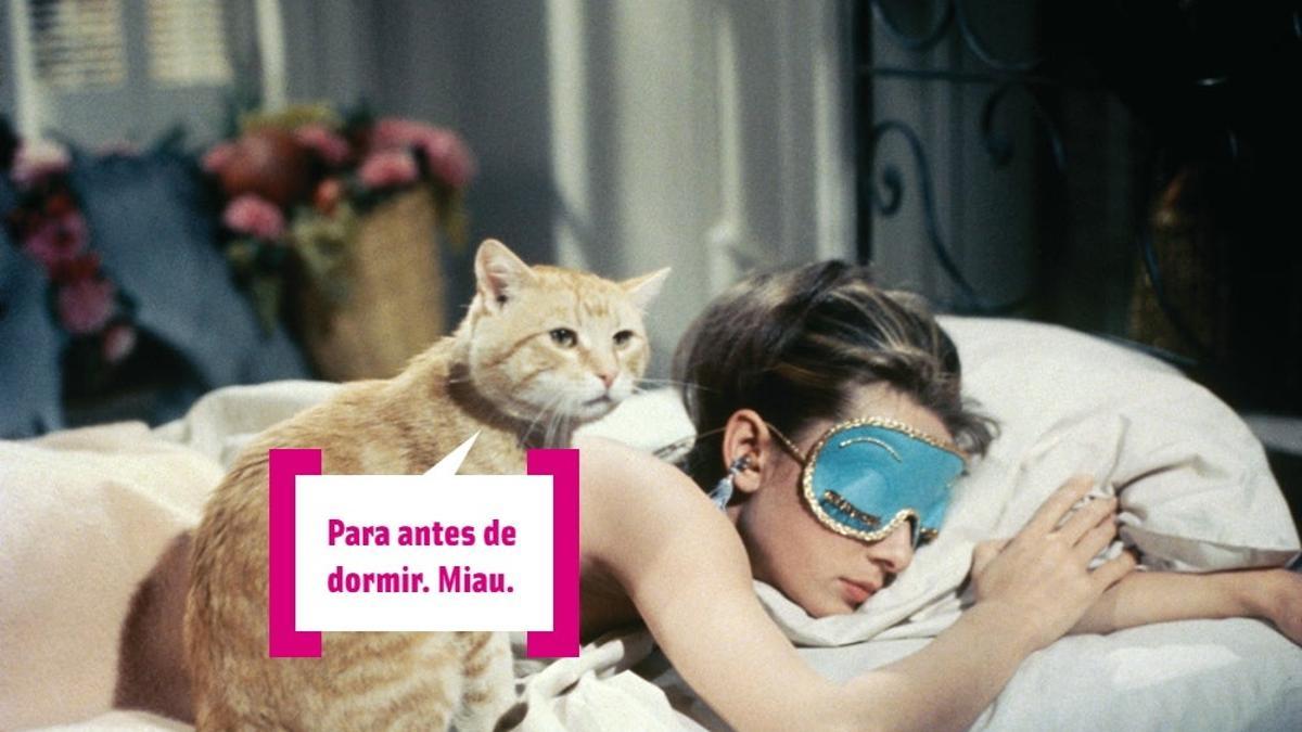 Audrey Hepburn y su gato