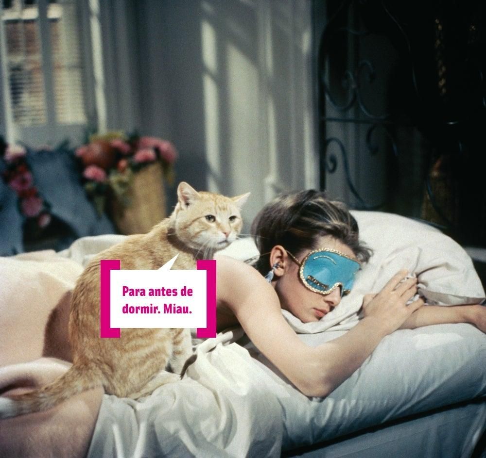 Audrey Hepburn y su gato