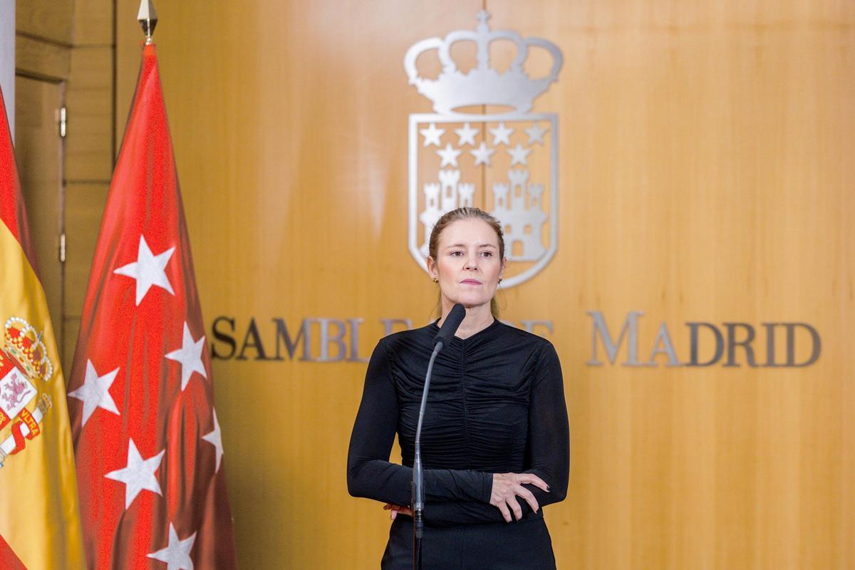 La consejera de Familia, Juventud y Asuntos Sociales de la Comunidad de Madrid, Ana Dávila-Ponce de León.