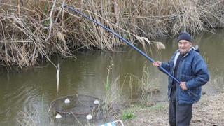 ¿Un Sant Antoni sin 'espinagades'? La pesca de la anguila está prohibida este año por primera vez en s’Albufera