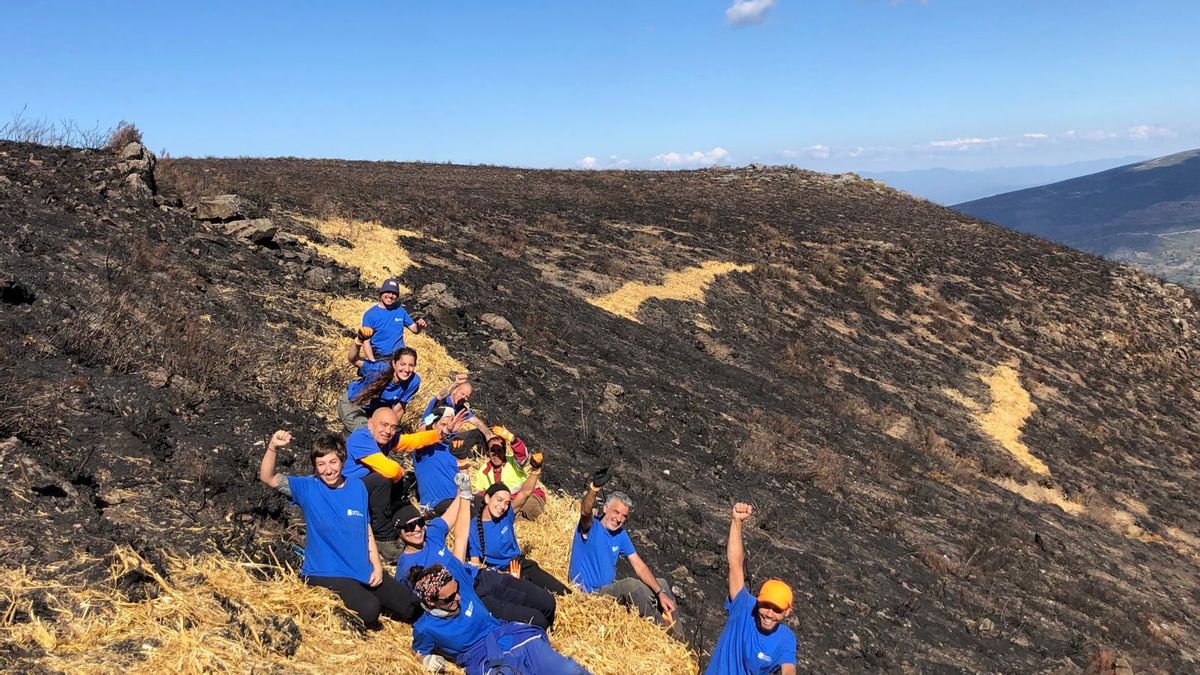 Voluntarios palían el daño en el monte tras el fuego arrasador: «Es nuestro grano de arena»