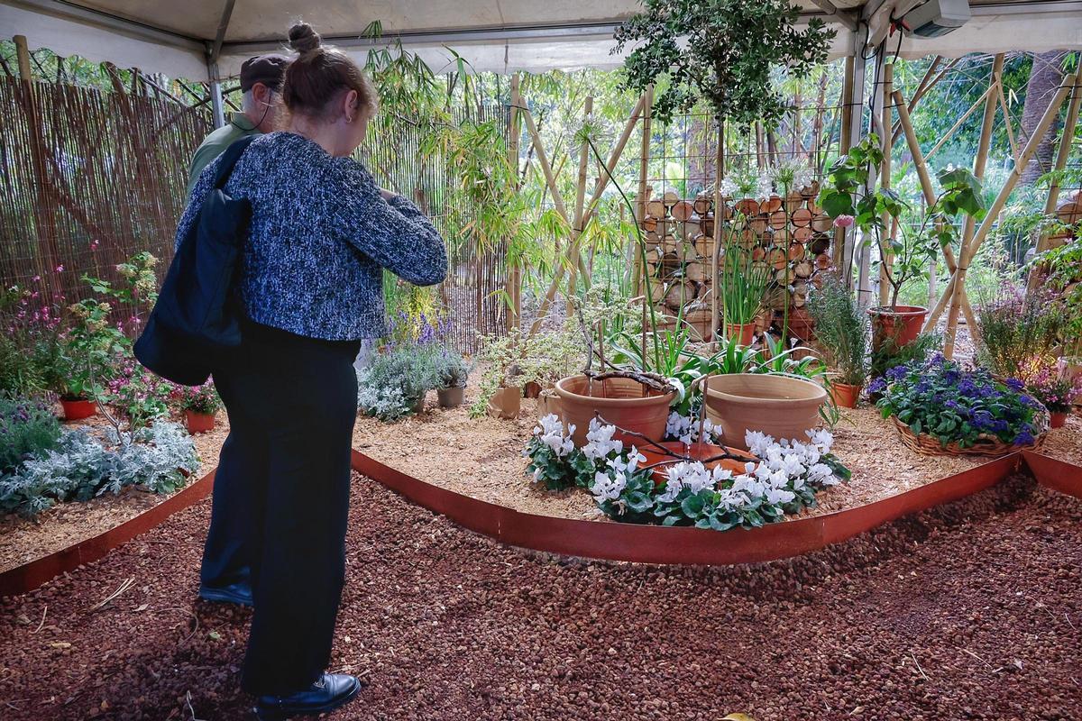 Inauguración de la exposición de flores y plantas del parque García Sanabria