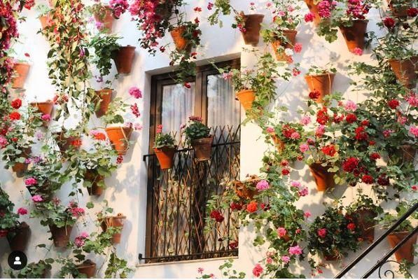 Primer premio del Concurso Fotográfico Patios de CÓRDOBA firmado por Laura Alvarado.