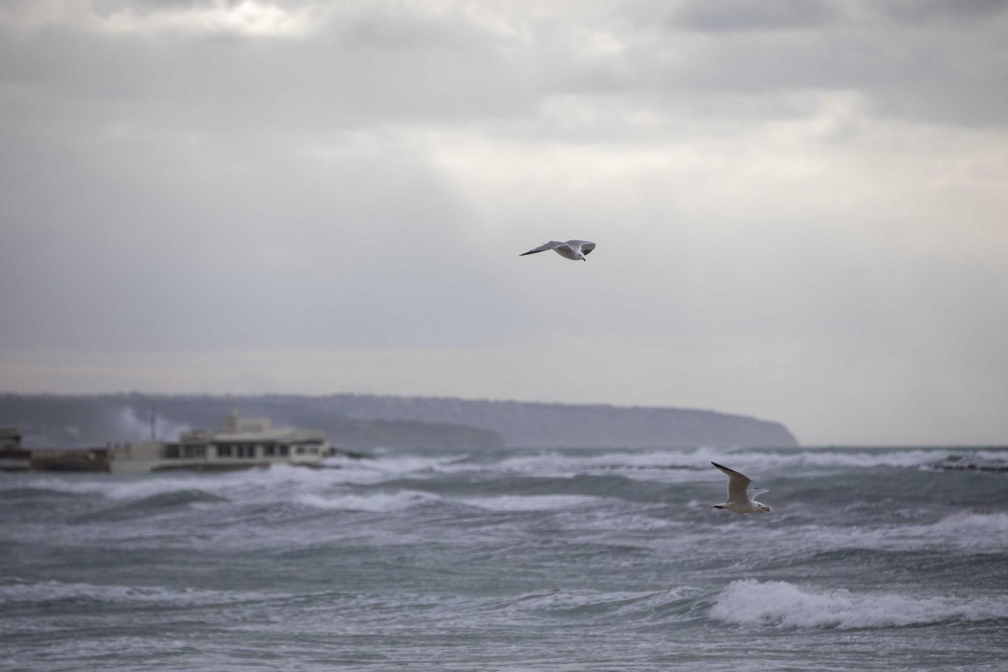 El tiempo en Mallorca: Las imágenes que deja el temporal en la isla