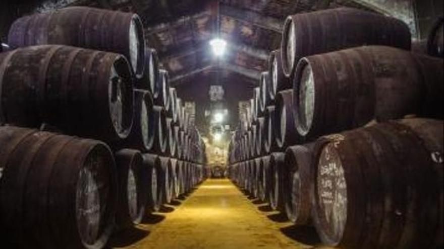 Interior de la bodega de Toro Albalá.