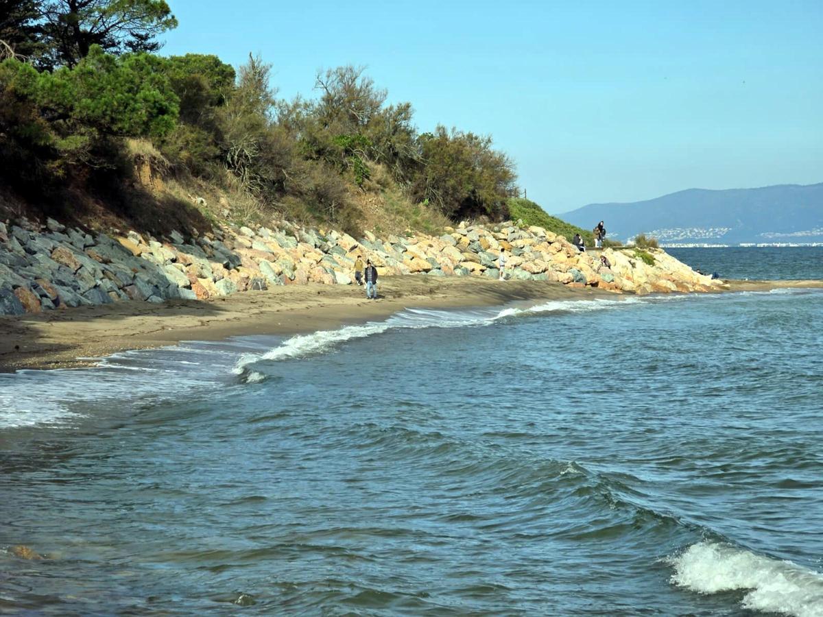 Les darreres llevantades han deixat gairebé sense sorra les platges de Sant Martí d'Empúries.