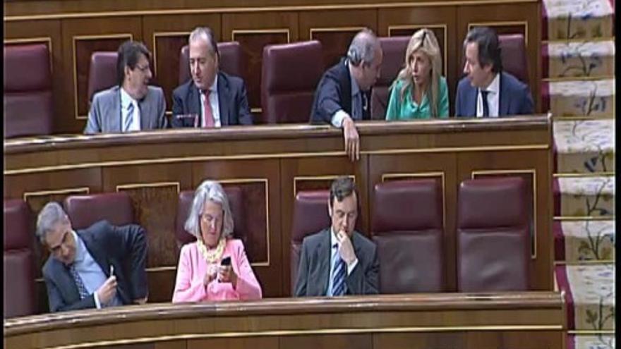 Todo incluido en el Congreso de los Diputados