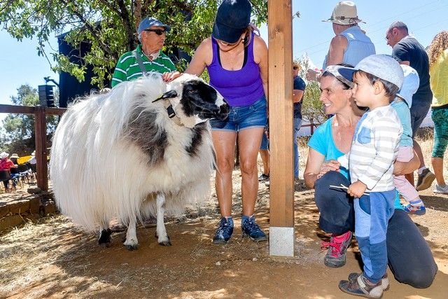 Festival de Sostenibilidad, Cultura y Soltura en Valsequillo