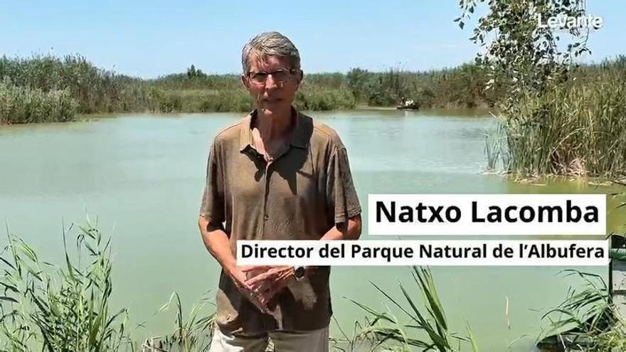 "Las actividades en l'Albufera deben integrarse bajo el paraguas de la conservación"