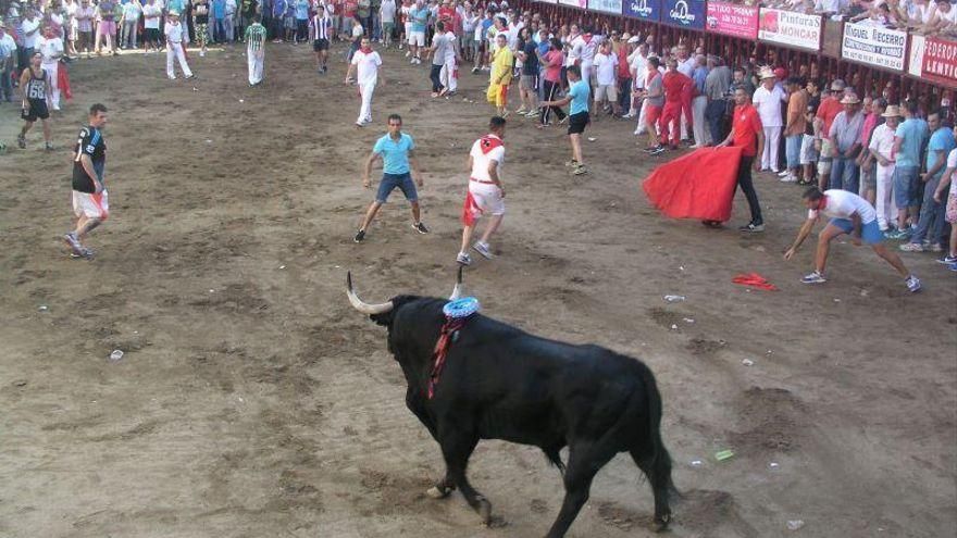 Coria se suma a la Plataforma para la Defensa de los Festejos de Tauromaquia Tradicional