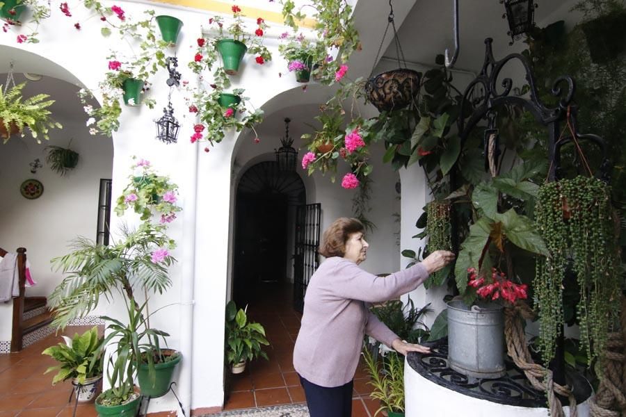 Los Patios de Córdoba (3)