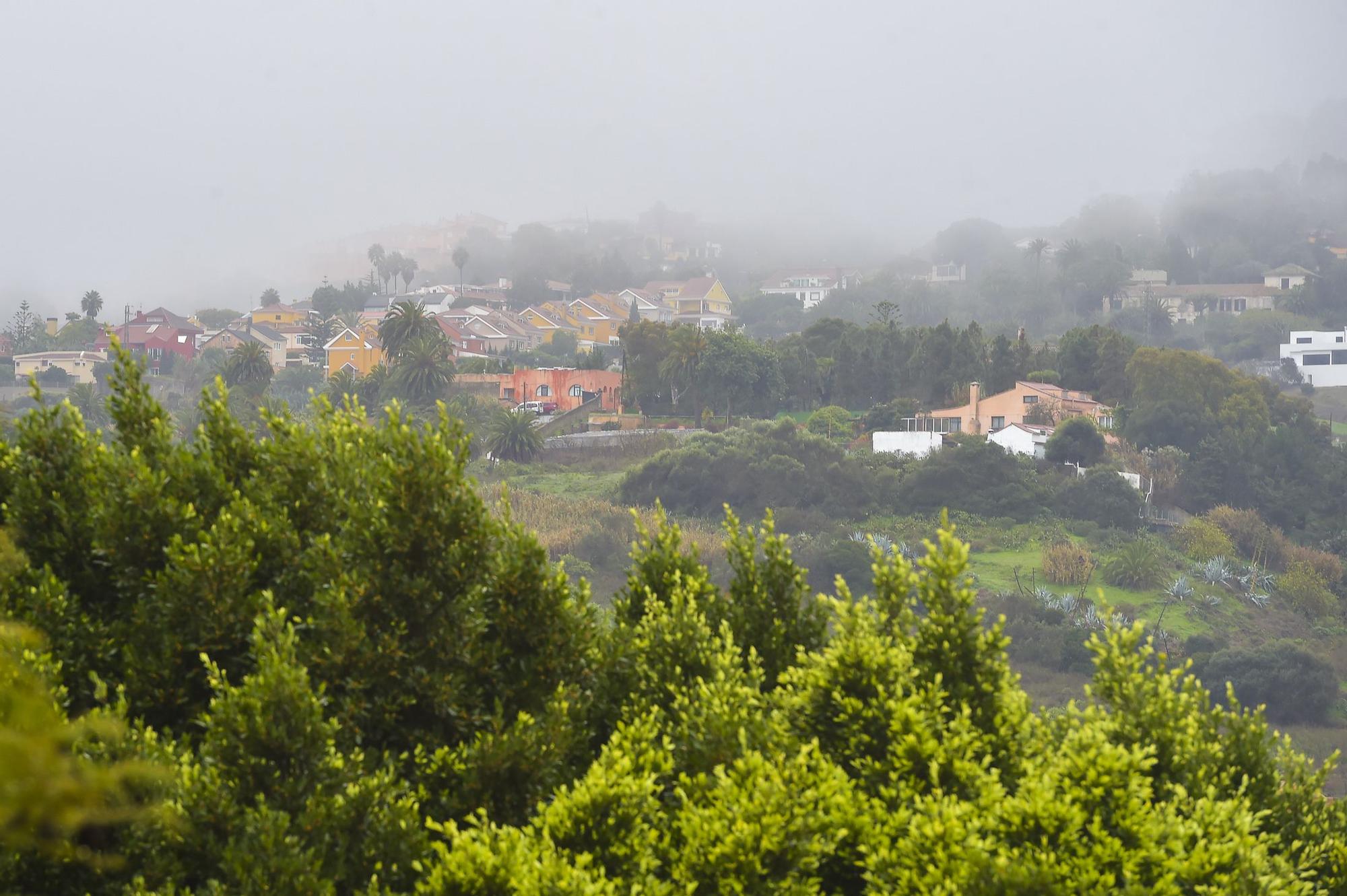 Lluvias débiles en el norte y medianías de Gran Canaria (07/01/2021)