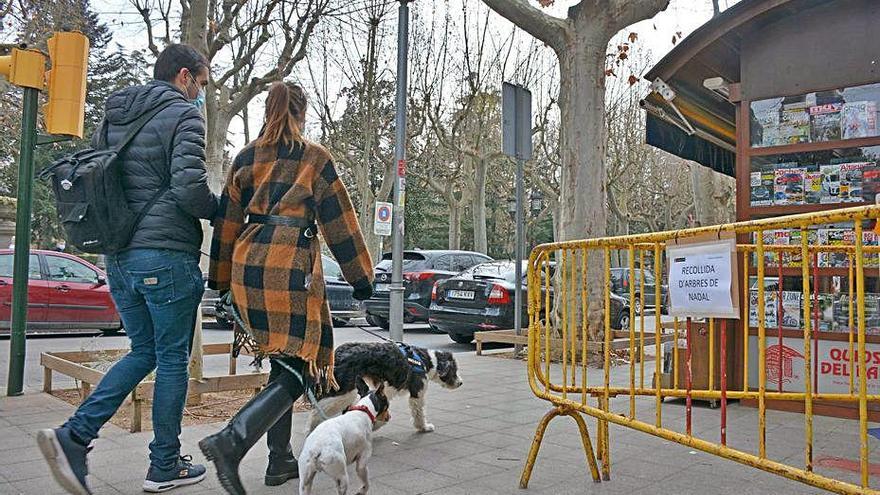 Un dels punts de recollida dels arbres de Nadal a Olot.