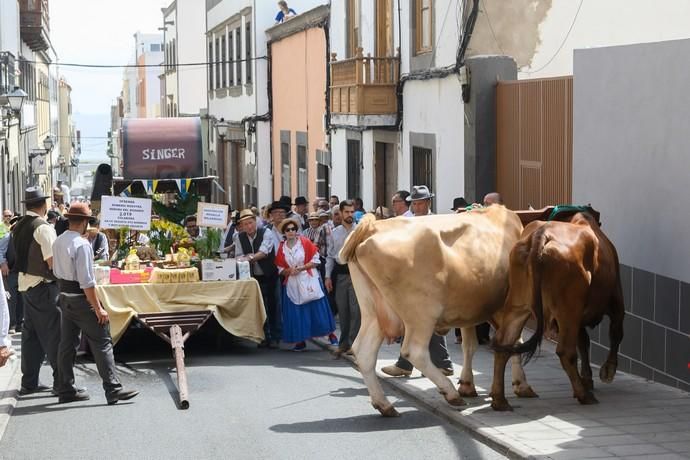 Romería del Rosario.Vegueta  | 29/09/2019 | Fotógrafo: Tony Hernández