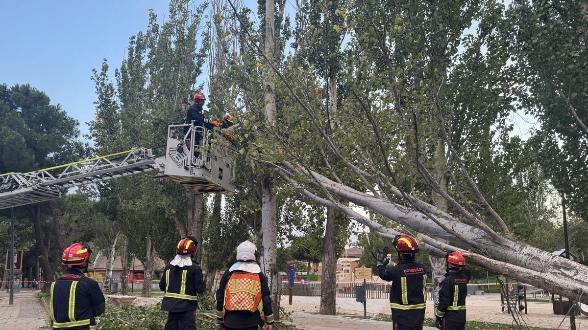 Bomberos intervienen para recoger una rama de un árbol afectado por el temporal de lluvias y tormentas, a 14 de agosto de 2026.