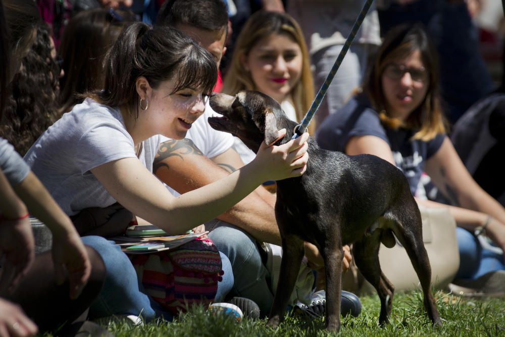 III Feria del Bienestar Animal en Valencia