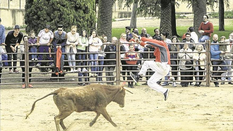 El decreto extremeño para evitar el maltrato en festejos taurinos se aplicará en junio